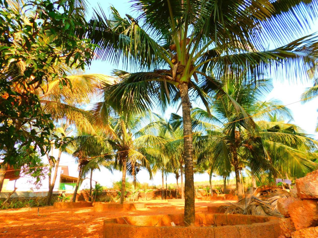 Coconut Tree Resort Gokarna Гокарна Экстерьер фото