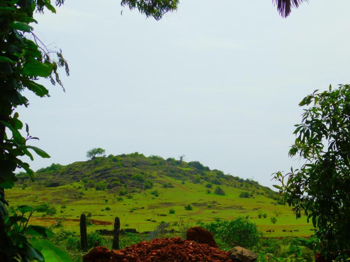 Coconut Tree Resort Gokarna Гокарна Экстерьер фото